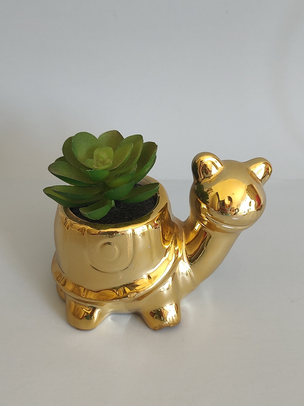 Gold Ceramic Turtle Pot with Faux Succulent